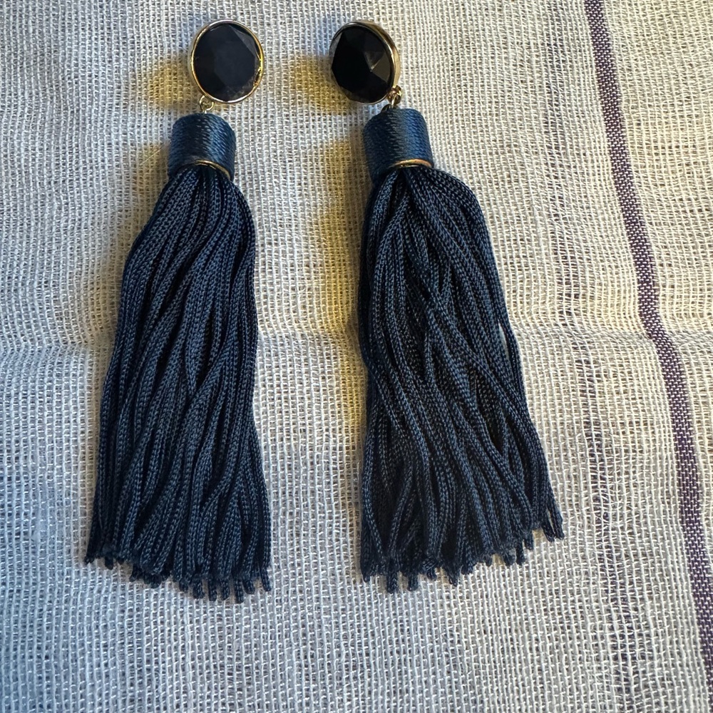 Elegant Blue Tassel Earrings
